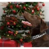 Country Brook Petz Deluxe Collar And Leash - Christmas Collection