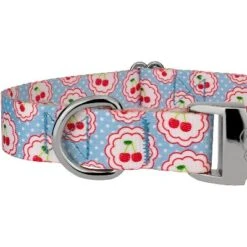 Country Brook Petz Premium Cherry On Top Dog Collar Limited Edition -Pet Supplies Online GUEST 24302930 ef9a 49d9 9def 83ea07034a42