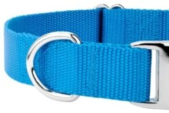 Country Brook Petz Premium Nylon Dog Collar 20 Country Brook Petz Premium Nylon Dog Collar -Pet Supplies Online GUEST 245bd745 b2d7 4d6c bba8 9a81bb3d65ad
