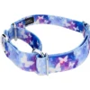 Country Brook Petz - Watercolor Butterflies Martingale Dog Collar
