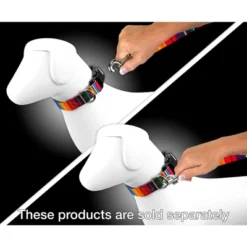 Country Brook Petz Serape Dog Leash (4 Foot, 5/8 Inch Wide) -Pet Supplies Online GUEST 24fd9f71 fc3c 4cf2 b18f f9ca4702cef4