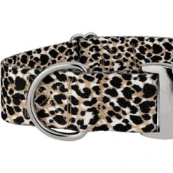 Country Brook Petz HossFit Jr Wide Premium Dog Collar - Animal Print Collection 8 Country Brook Petz HossFit Jr Wide Premium Dog Collar - Animal Print Collection -Pet Supplies Online GUEST 25085a39 70c8 4e12 a323 8f12dc751d50
