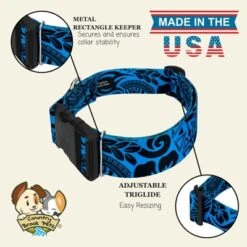 Country Brook Petz HossFit Jr Wide Deluxe Dog Collar - Attitude Collection -Pet Supplies Online GUEST 254ca98b e134 4265 9118 624d1a68370b
