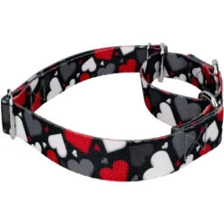 Country Brook Petz Martingale Dog Collar - Affection Collection -Pet Supplies Online GUEST 2624ca49 7af5 4fd2 9745 33e724712e1a