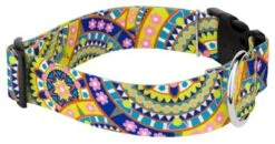 Country Brook Petz 1 1/2 Inch Deluxe Yellow Boho Mandala Dog Collar -Pet Supplies Online GUEST 2730a0f6 4fbc 4340 990f f867b2f51436