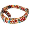 Country Brook Petz Martingale Dog Collar - Awesome Autumn Collection 2 Country Brook Petz Martingale Dog Collar - Awesome Autumn Collection -Pet Supplies Online GUEST 27f589e8 895a 4b60 81d4 374eda47996e