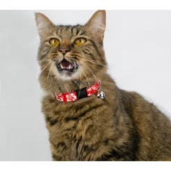 Country Brook Petz Red Hawaiian Cat Collar 10 Country Brook Petz Red Hawaiian Cat Collar -Pet Supplies Online GUEST 28a65a12 5643 46e5 9adf 66b5ae295035