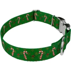 County Brook Petz Premium Dog Collar And Leash - Christmas Collection -Pet Supplies Online GUEST 292ea160 a697 44fe b20c 663958fbf24d