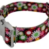 Country Brook Petz 1 1/2 Inch Premium Daisy Fields Dog Collar