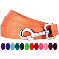 Country Brook Petz 6ft By 1 Inch Heavyduty Doublehandle Nylon Leash -Pet Supplies Online GUEST 296b4353 384d 458f 8bf4 81aeed4c4649