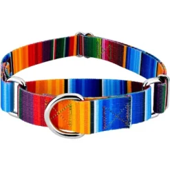 Country Brook Petz Serape Martingale Dog Collar -Pet Supplies Online GUEST 29c24171 3b82 453b 8094 f6cb2bd71610