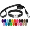 Country Brook Petz Premium Nylon Dog Collar And Leash Set For Small Medium Large Dogs - Vibrant 30+ Color Selection
