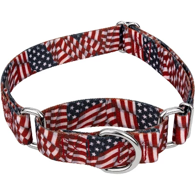 Country Brook Petz Patriotic Tribute Martingale Dog Collar 10 Country Brook Petz Patriotic Tribute Martingale Dog Collar - Image 8
