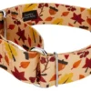 Country Brook Petz 1 1/2 Inch Fall Foliage Martingale Dog Collar -Pet Supplies Online GUEST 2a88a47b 7fcf 4d4e 9fe5 5ea961bcc102