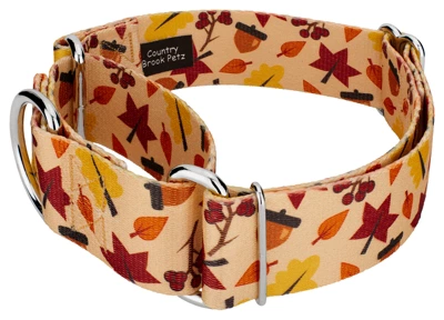 Country Brook Petz 1 1/2 Inch Fall Foliage Martingale Dog Collar 3 Country Brook Petz 1 1/2 Inch Fall Foliage Martingale Dog Collar