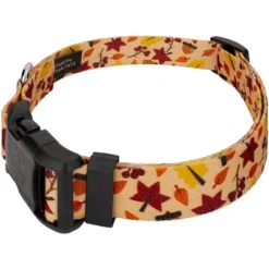 Country Brook Petz Deluxe Fall Foliage Dog Collar And Leash