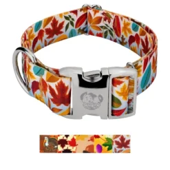 Country Brook Petz HossFit Jr Wide Premium Dog Collar - Awesome Autumn Collection -Pet Supplies Online GUEST 2b0e71ca 9923 49a4 9967 5f9135d74bbd