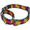 Country Brook Petz Kaleidoscope Martingale Dog Collar -Pet Supplies Online GUEST 2b4e5bee cb37 4087 8b13 edb00ea2210e