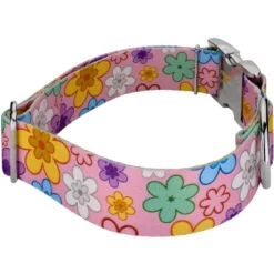 Country Brook Petz 1 1/2 Inch Premium May Flowers Dog Collar -Pet Supplies Online GUEST 2b56c8e0 401c 48a5 a3bb 840ea28d3bf9