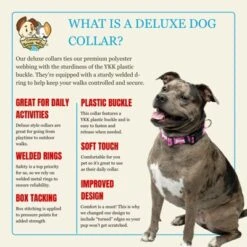 Country Brook Petz Deluxe Ribbon Dog Collar, Whimsical Nature Collection