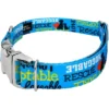 Country Brook Petz® Premium Dog Collar - Rescue Collection -Pet Supplies Online GUEST 2bbf3552 9b19 4bfe bed4 7e25be14af0f