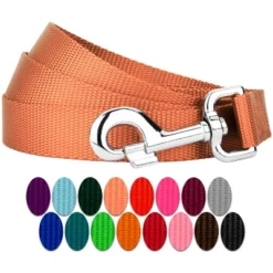 Country Brook Petz 6ft By 3/4 Inch Heavyduty Doublehandle Nylon Leash -Pet Supplies Online GUEST 2c153a2e c978 42a9 8eb5 f17545cd4344