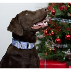 Country Brook Petz Snowman Martingale Dog Collar -Pet Supplies Online GUEST 2cf54730 468e 4ad1 81ce 6b371149210e