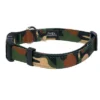 Country Brook Petz Deluxe Woodland Camo Reflective Dog Collar (1 Inch, Large) 1 Country Brook Petz Deluxe Woodland Camo Reflective Dog Collar (1 Inch, Large) -Pet Supplies Online GUEST 2cfc6b51 6195 44a3 93d6 2bf62c03a468