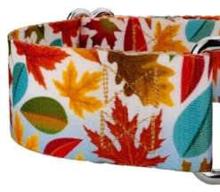 Country Brook Petz 1 1/2 Inch Brisk Autumn Martingale Dog Collar -Pet Supplies Online GUEST 2d0889ce 1447 4bc8 bccd 9af09d87e8d1