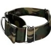 Country Brook Petz 2 Inch Woodland Camo Martingale Dog Collar