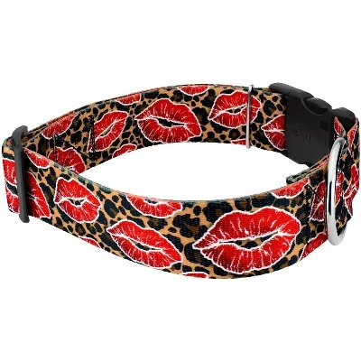 Country Brook Petz HossFit Jr Wide Deluxe Dog Collar - Affection Collection 4 Country Brook Petz HossFit Jr Wide Deluxe Dog Collar - Affection Collection - Image 2