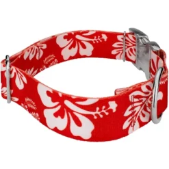 Country Brook Petz 1 1/2 Inch Premium Red Hawaiian Dog Collar -Pet Supplies Online GUEST 2d7e773d d6ce 4c00 ba07 7bec1e3476e6