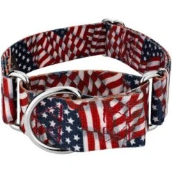 Country Brook Petz HossFit Jr Wide Martingale Dog Collar - Americana Collection 15 Country Brook Petz HossFit Jr Wide Martingale Dog Collar - Americana Collection -Pet Supplies Online GUEST 2da03622 3ce3 4396 af01 2cce7633420f