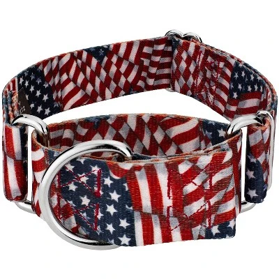 Country Brook Petz HossFit Jr Wide Martingale Dog Collar - Americana Collection 9 Country Brook Petz HossFit Jr Wide Martingale Dog Collar - Americana Collection - Image 7