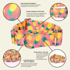 Country Brook Petz HossFit Jr Wide Martingale Dog Collar, Tasty Collection -Pet Supplies Online GUEST 2ec46f88 a144 417b 9871 c126d7655f98