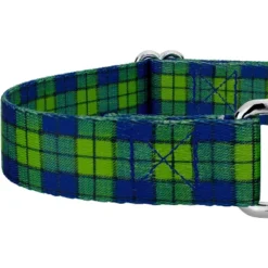 Country Brook Petz Blue And Green Plaid Martingale Dog Collar -Pet Supplies Online GUEST 2ee52421 1737 4a42 b487 c3acbdb48a7b