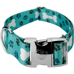 Country Brook Petz 1 1/2 Inch Premium Oh My Dog Collar -Pet Supplies Online GUEST 2ee6bbc3 c5c0 495d a39e 8df60163f14f