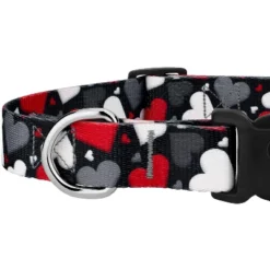 Country Brook Petz Deluxe Dog Collar - Affection Collection -Pet Supplies Online GUEST 2f0ce74d c079 4af2 ba84 757a44b0d9f6