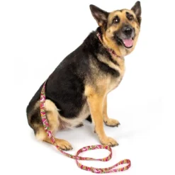 Country Brook Petz Pink Paisley Martingale Dog Collar And Leash -Pet Supplies Online GUEST 2f0e7340 c9e2 4480 accd 39feb3dc9247