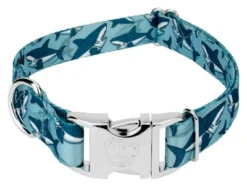 Country Brook Petz Premium Sharks Dog Collar -Pet Supplies Online GUEST 2f28aa3a ba3c 4e9d a509 43eede987ad2