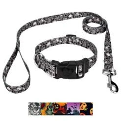 Country Brook Petz Deluxe Collar And Leash - Halloween Collection