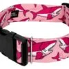 Country Brook Petz 1 1/2 Inch Deluxe Pink Sharks Dog Collar -Pet Supplies Online GUEST 2f5d69c5 4b7e 4aec a02d d4061611a636