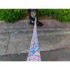Country Brook Petz Deluxe Reflective Dog Leash 6 Foot Length