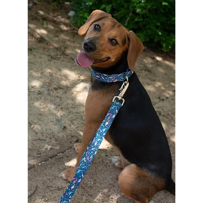 Country Brook Petz Deluxe Dinosaurs Dog Collar And Leash 3 Country Brook Petz Deluxe Dinosaurs Dog Collar And Leash