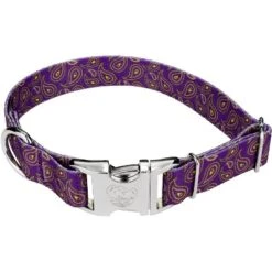 Country Brook Petz Premium Purple Paisley Dog Collar -Pet Supplies Online GUEST 2fdb4da0 4e0d 4ef1 b310 d649840347b6