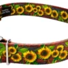 Country Brook Petz Premium Country Fields Dog Collar Limited Edition