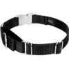 Country Brook Petz Heavyduty Nylon Martingale With Premium Buckle
