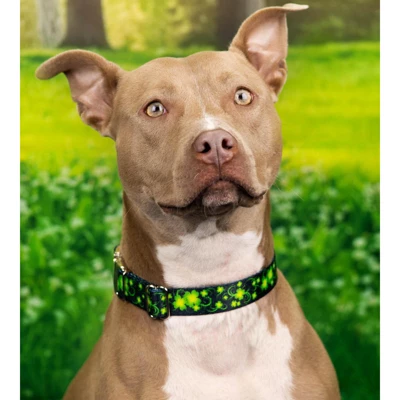 Country Brook Petz HossFit Jr Wide Martingale Dog Collar - Irish Pride 3 Country Brook Petz HossFit Jr Wide Martingale Dog Collar - Irish Pride