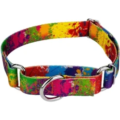 Country Brook Petz Paint Splatter Martingale Dog Collar -Pet Supplies Online GUEST 316e77a5 ec24 49be bff0 a2605dd17f0c