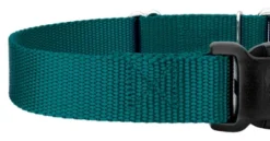 Country Brook Petz Durable Nylon Martingale With Deluxe Buckle - Made In The USA -Pet Supplies Online GUEST 317a5f45 8bd7 49f6 b620 55e5f77e1d38